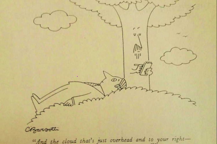 Ecopsychology of Trees