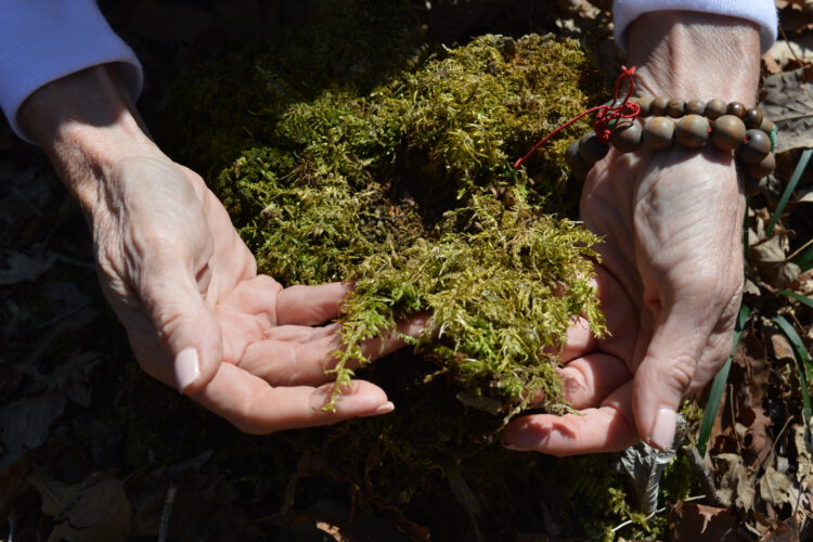 Inspiring Nature Quotes