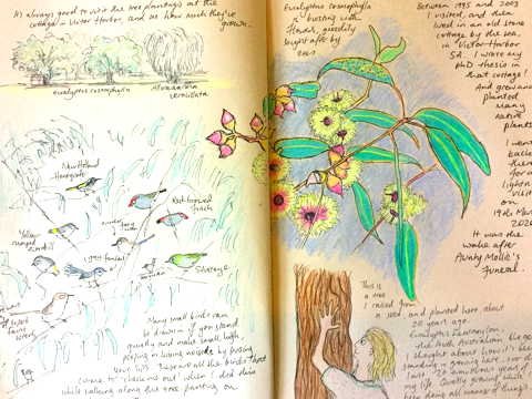 nature journaling