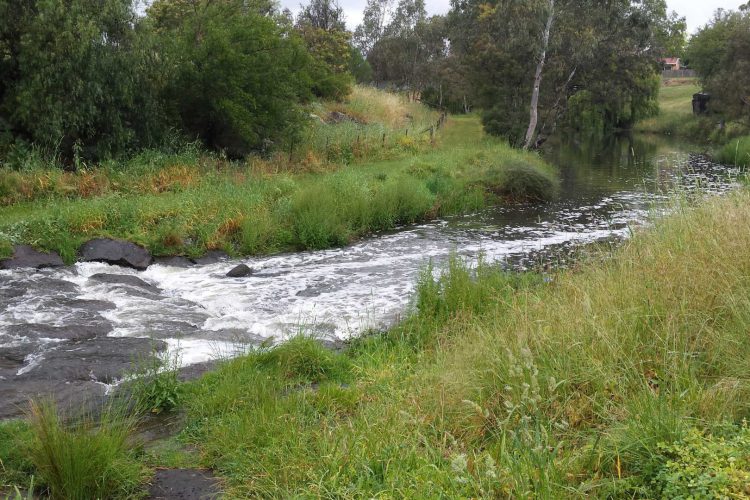 rainy day Shinrin-yoku