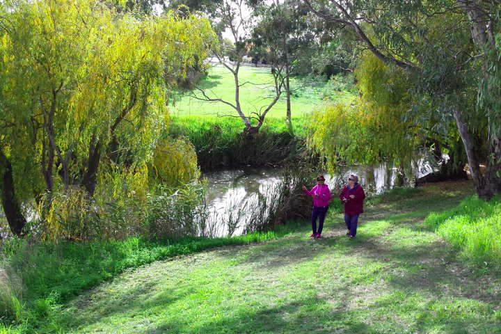 strolling along the Koororoit